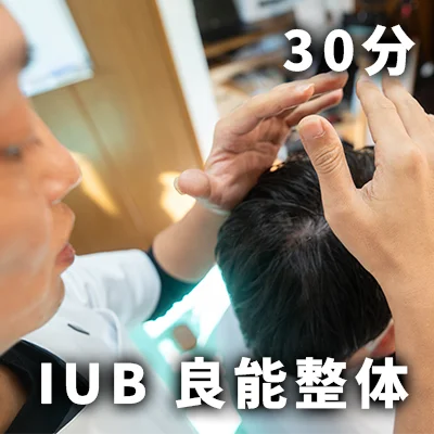 IUB 良能整体（ショートコース）